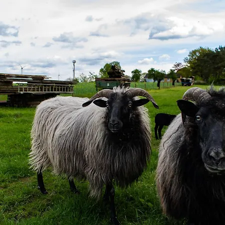 Lejlighed Gemuetliche Schneverdingen