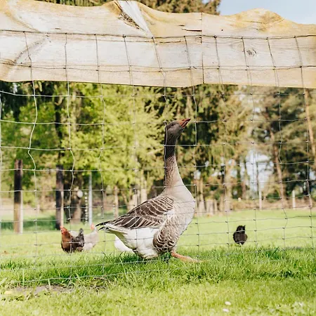 Gemuetliche Lejlighed