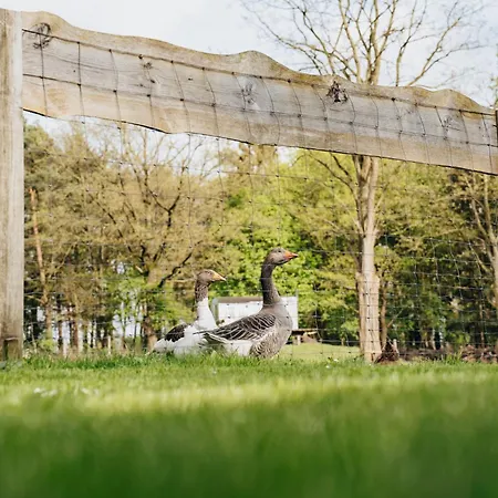 Gemuetliche Lejlighed Schneverdingen