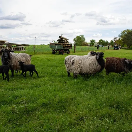 Gemuetliche Schneverdingen